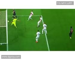 深度解析：大路、小路、曱甴路的心理投射（从心理投射视角看大路、小路与曱甴路）