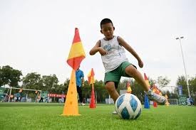 为什么高手更冷静（高手的冷静从何而来）